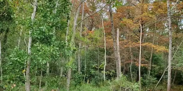 0 Sandpiper Lane