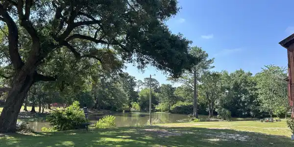 Image 2: View