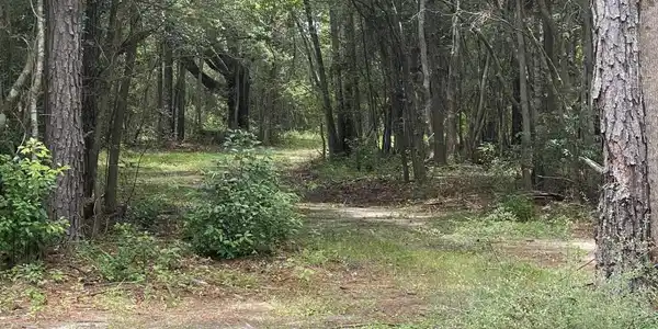 Elmer Jones Road