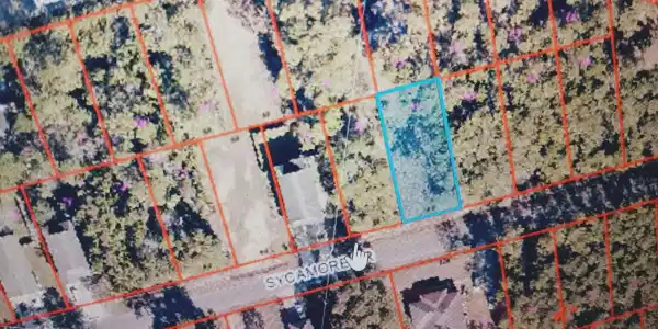 Sycamore Drive