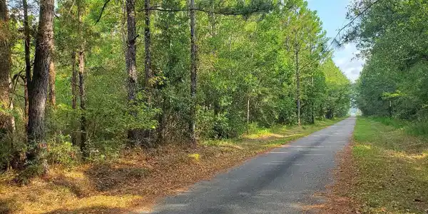 Lark Street