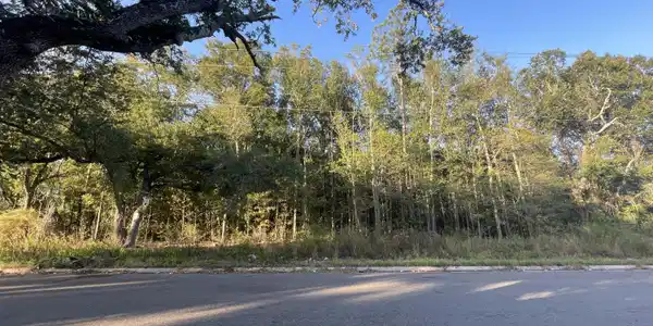 Lanier Avenue