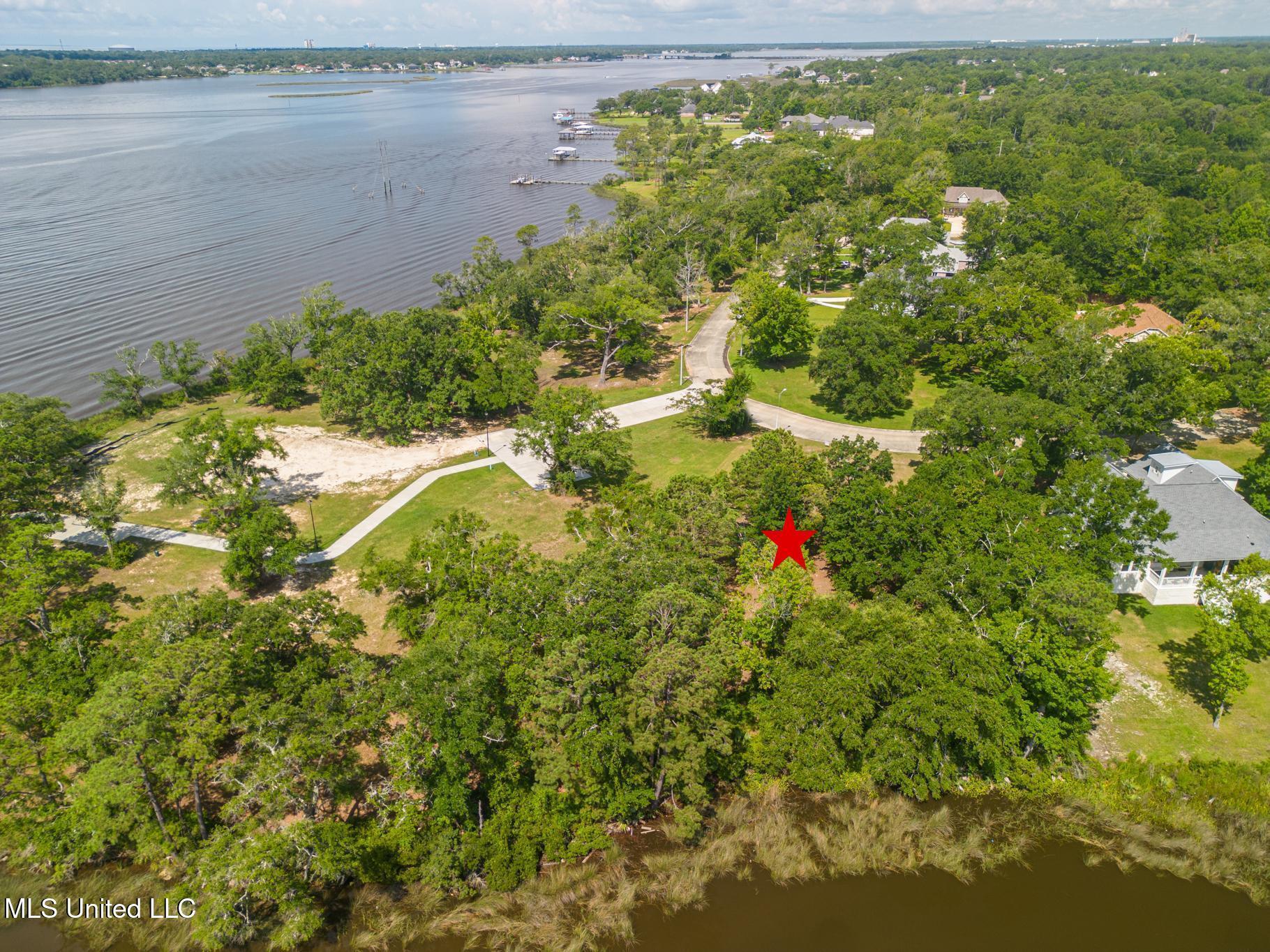 Image 3: 31-6