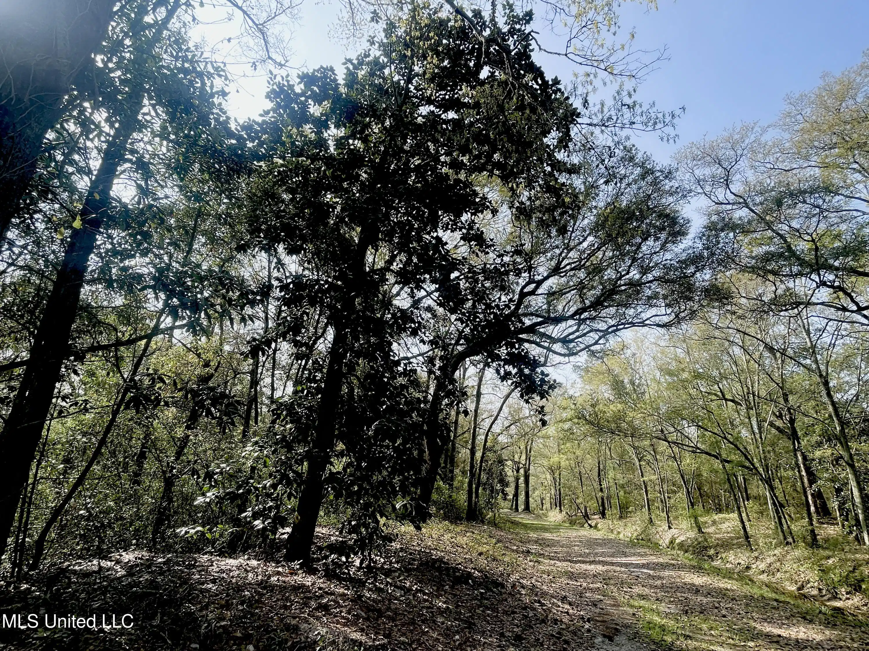 Image 1: Oak Haven