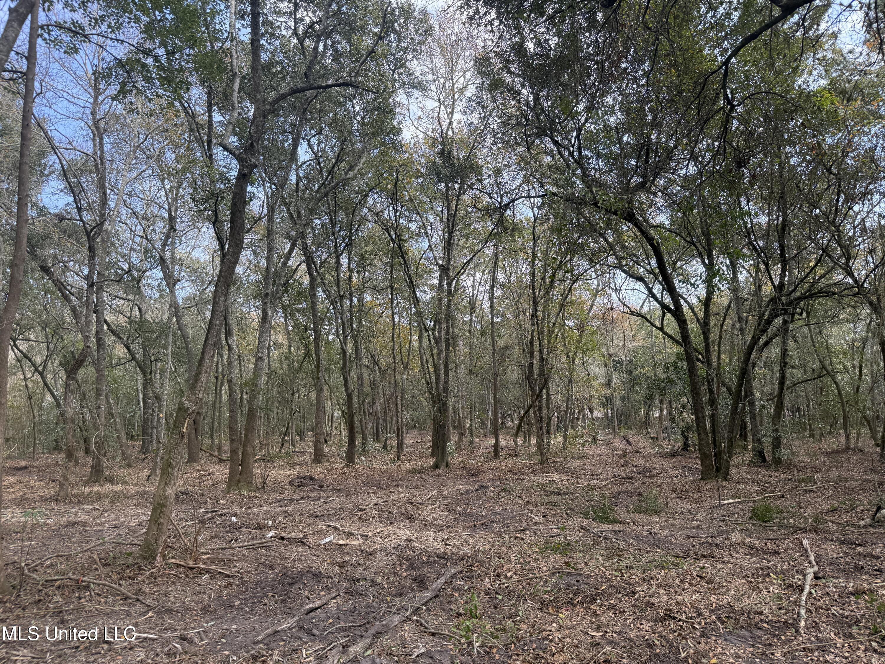 Image 4: North Holland