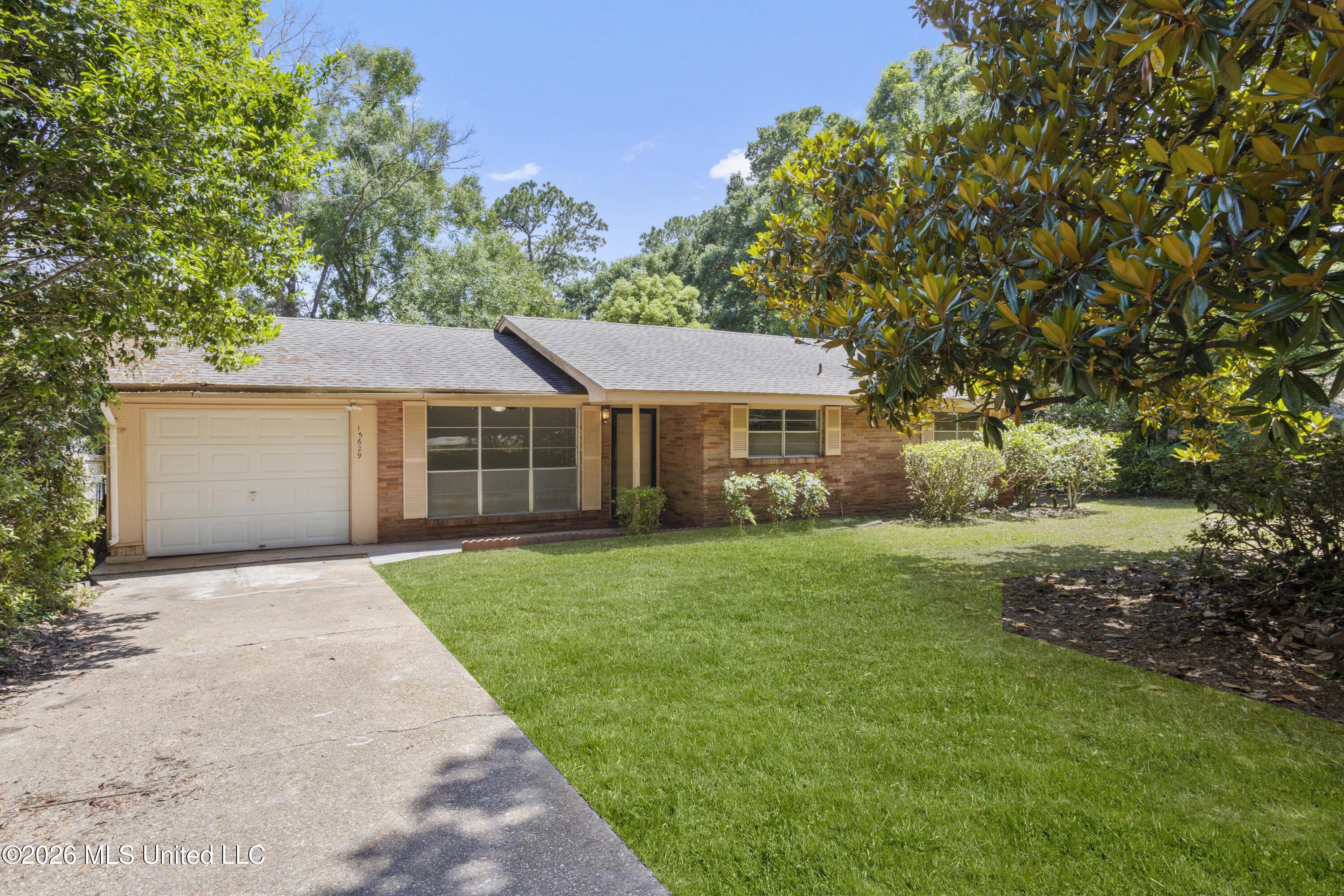 Image 2: 00003