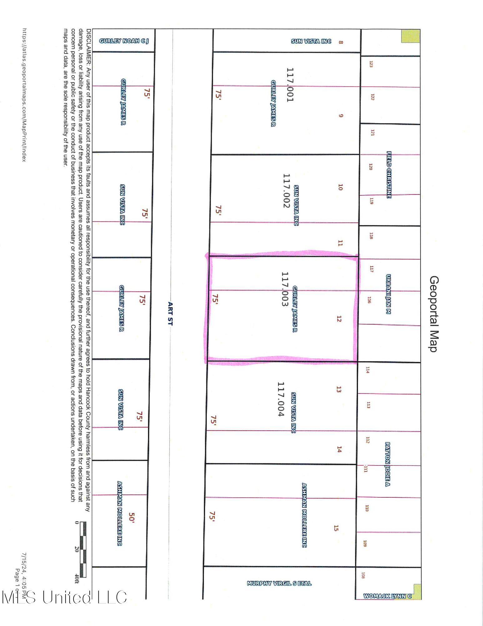 Image 4: plat