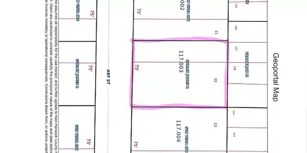 Image 4: plat