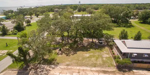 202 Palmetto Lane