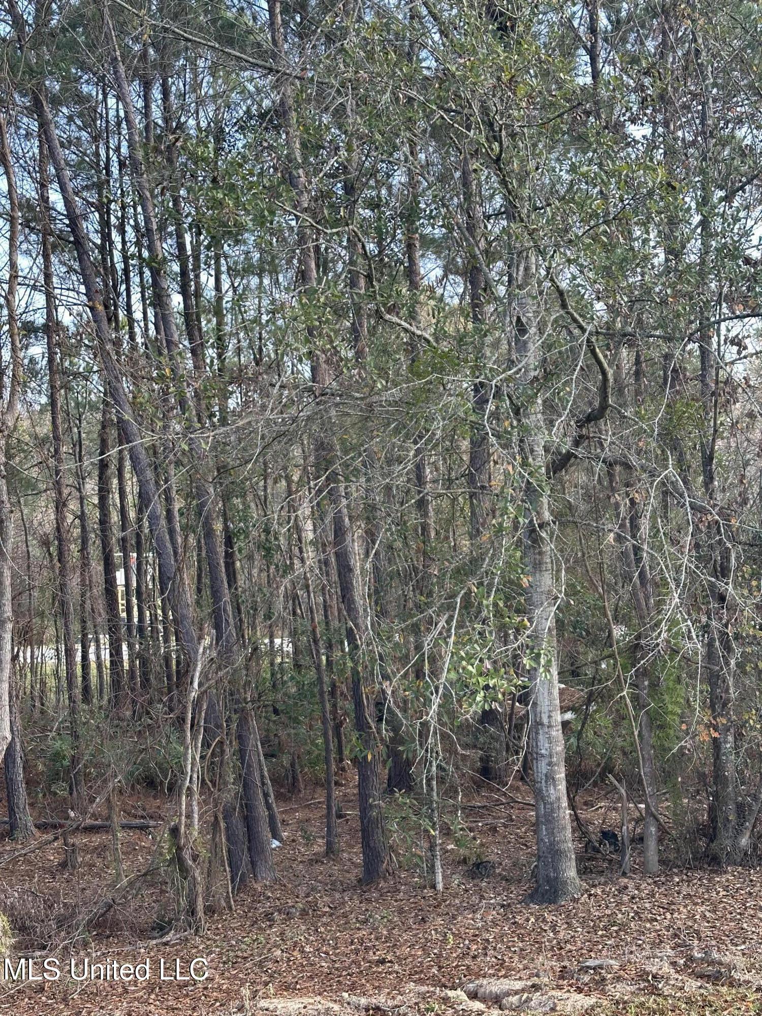 Image 3: IMG_6485