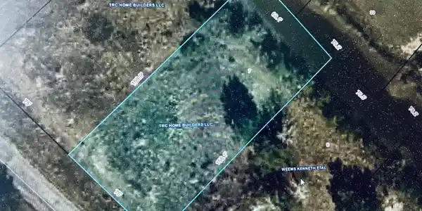 Image 4: Lot 7