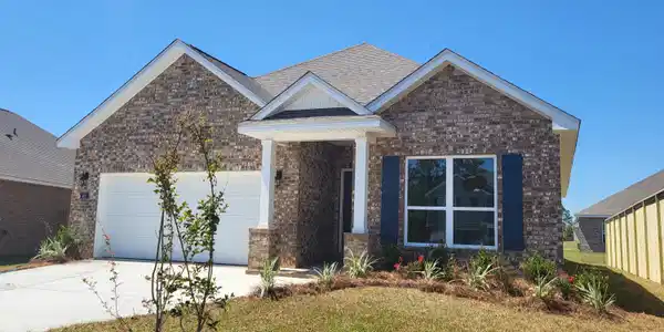 405 Sturnidae Cove