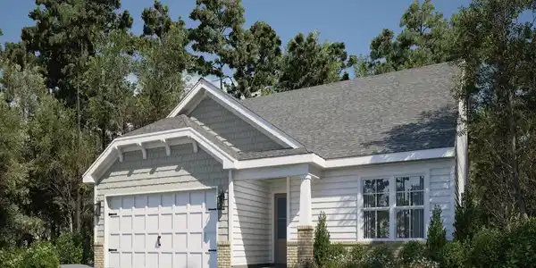 3707 Olivia Drive