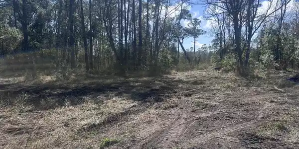 Orange Grove Road