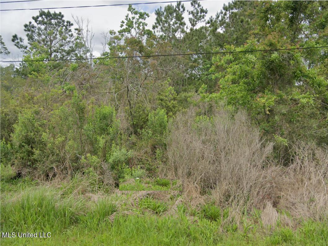 Image 1: Lot_Bayou View