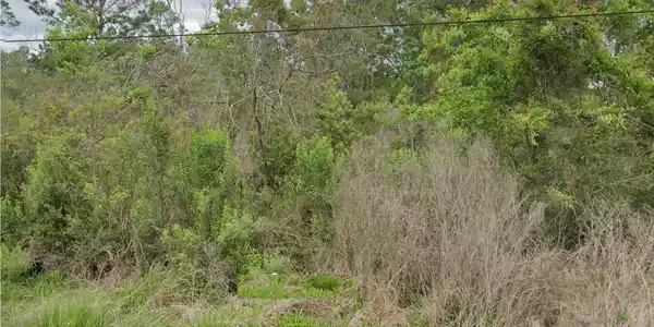 Bayou View Drive