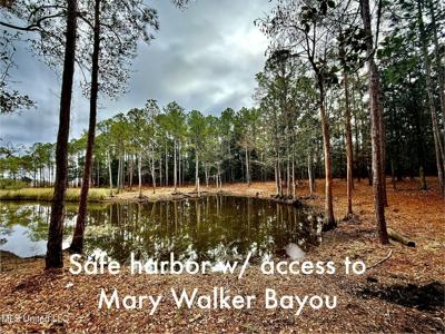 1208 De La Pointe Drive