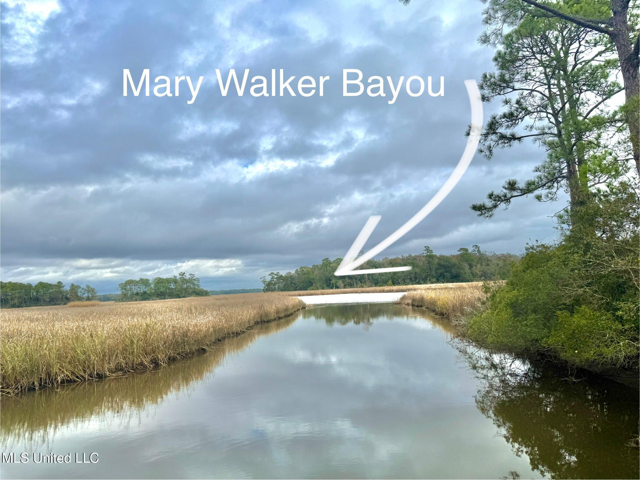 Image 2: Bayou access