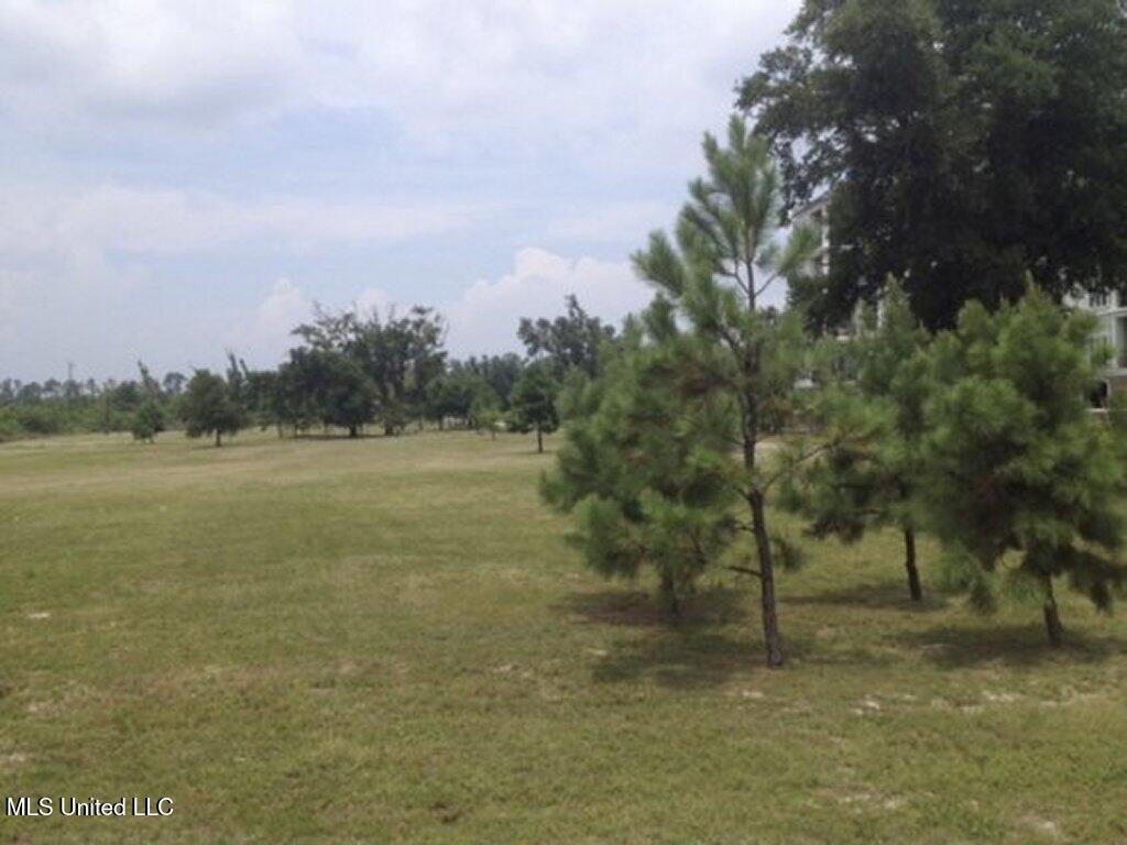Image 3: 03-Photo 3