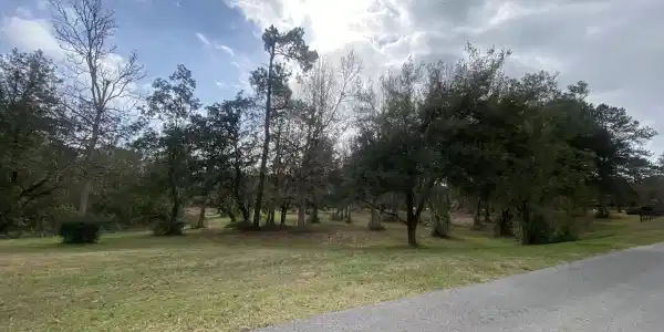 Woodland Dr Drive