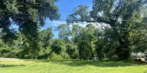 Paraiso Road