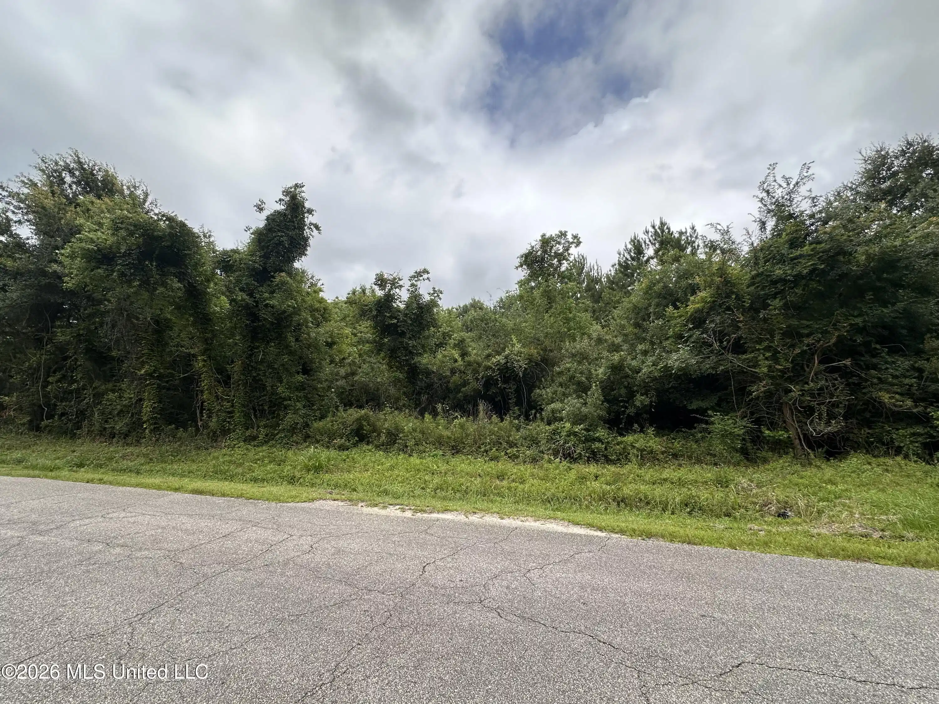 Image 1: Forest Ave