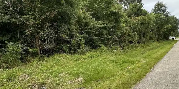 Image 2: Forest Ave