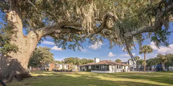 Image 2: Gulf Oaks