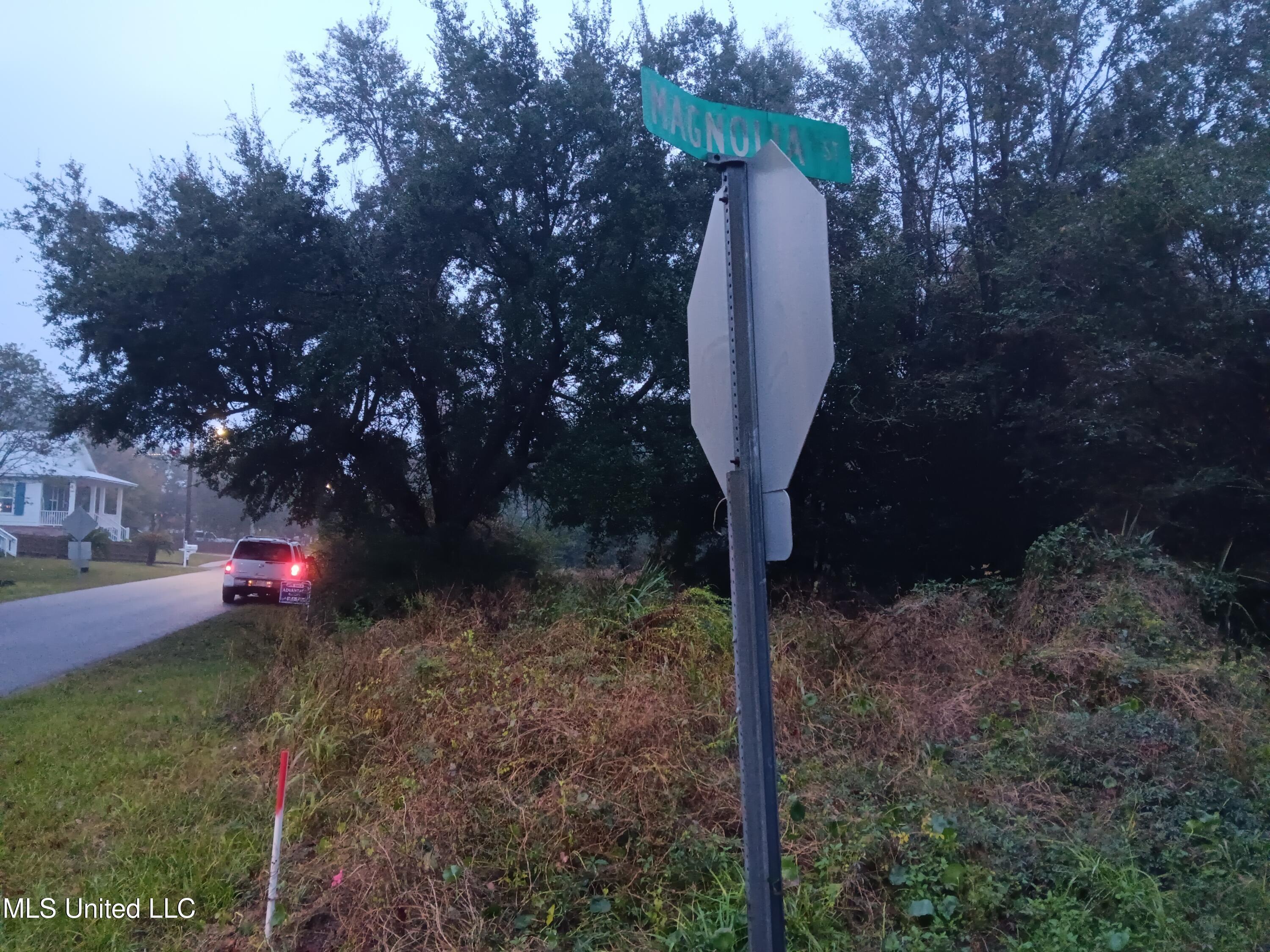 Image 3: 20241209_170513