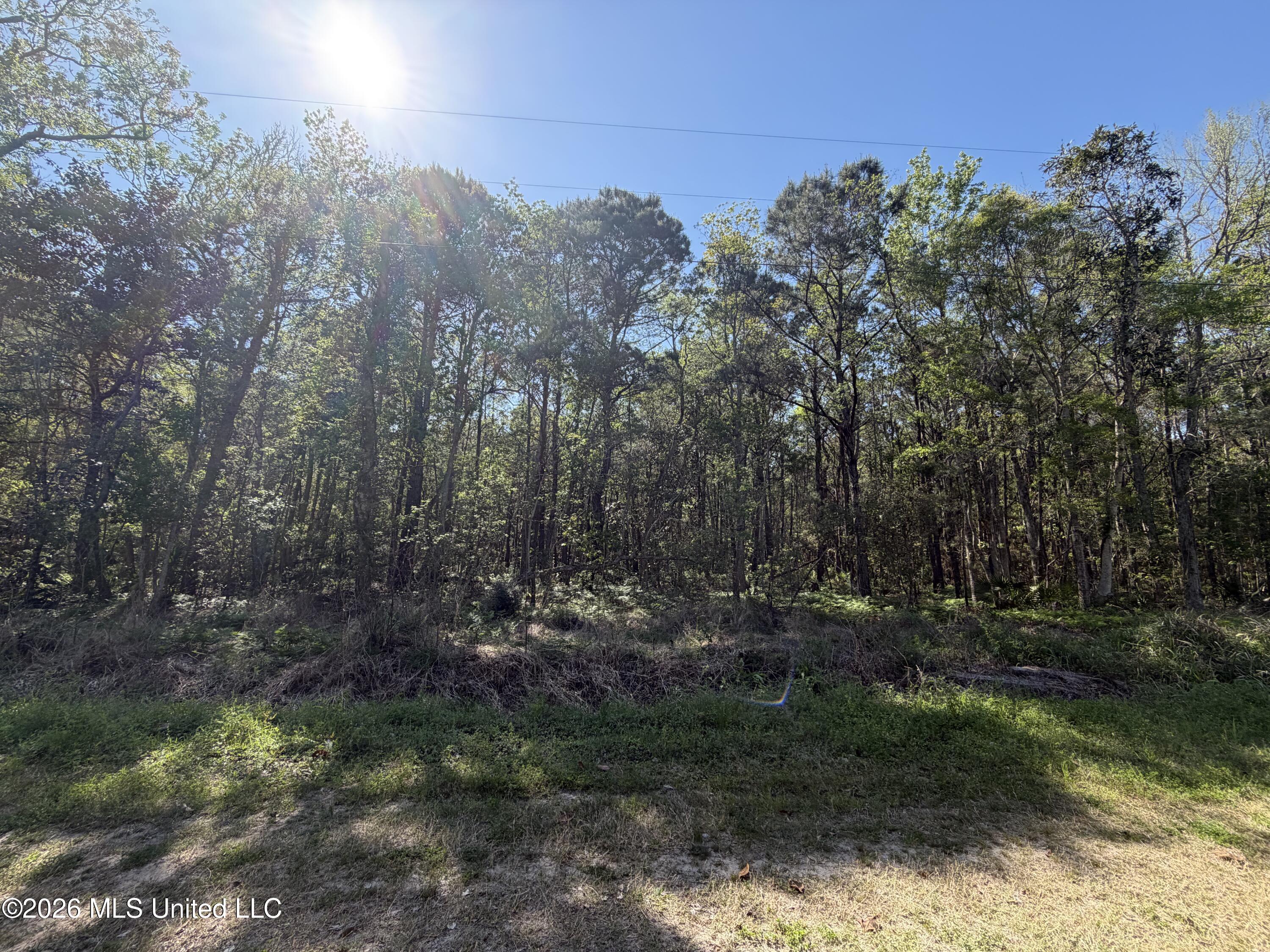 Image 1: Vacant lot ready for your dream home!
