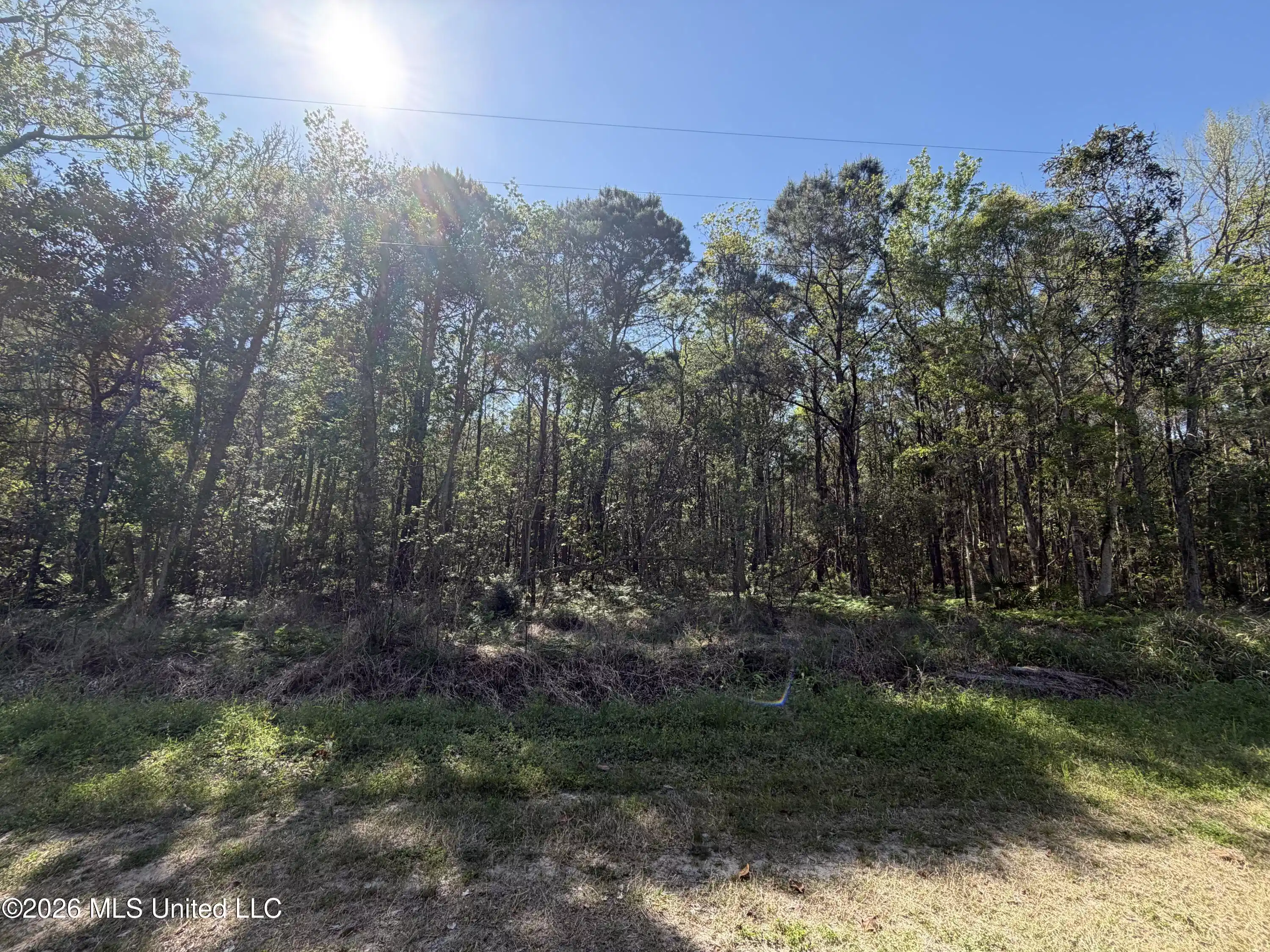 Image 1: Vacant lot ready for your dream home!
