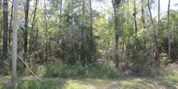 Image 2: 8TH ST6