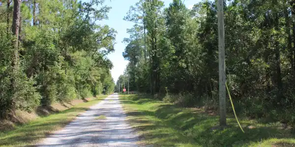 Image 3: 8TH ST4