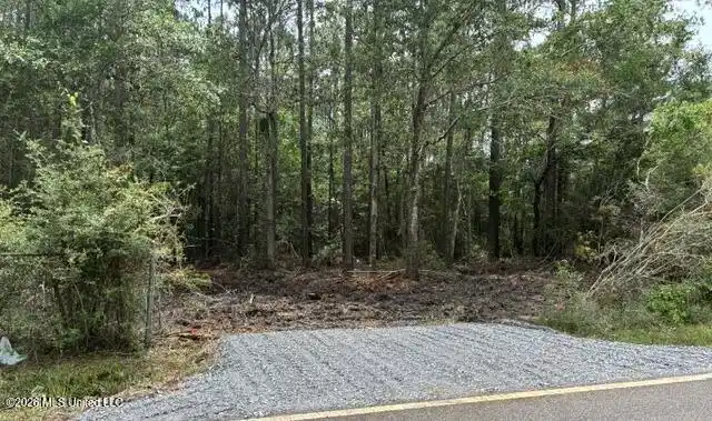 Image 1: menge driveway