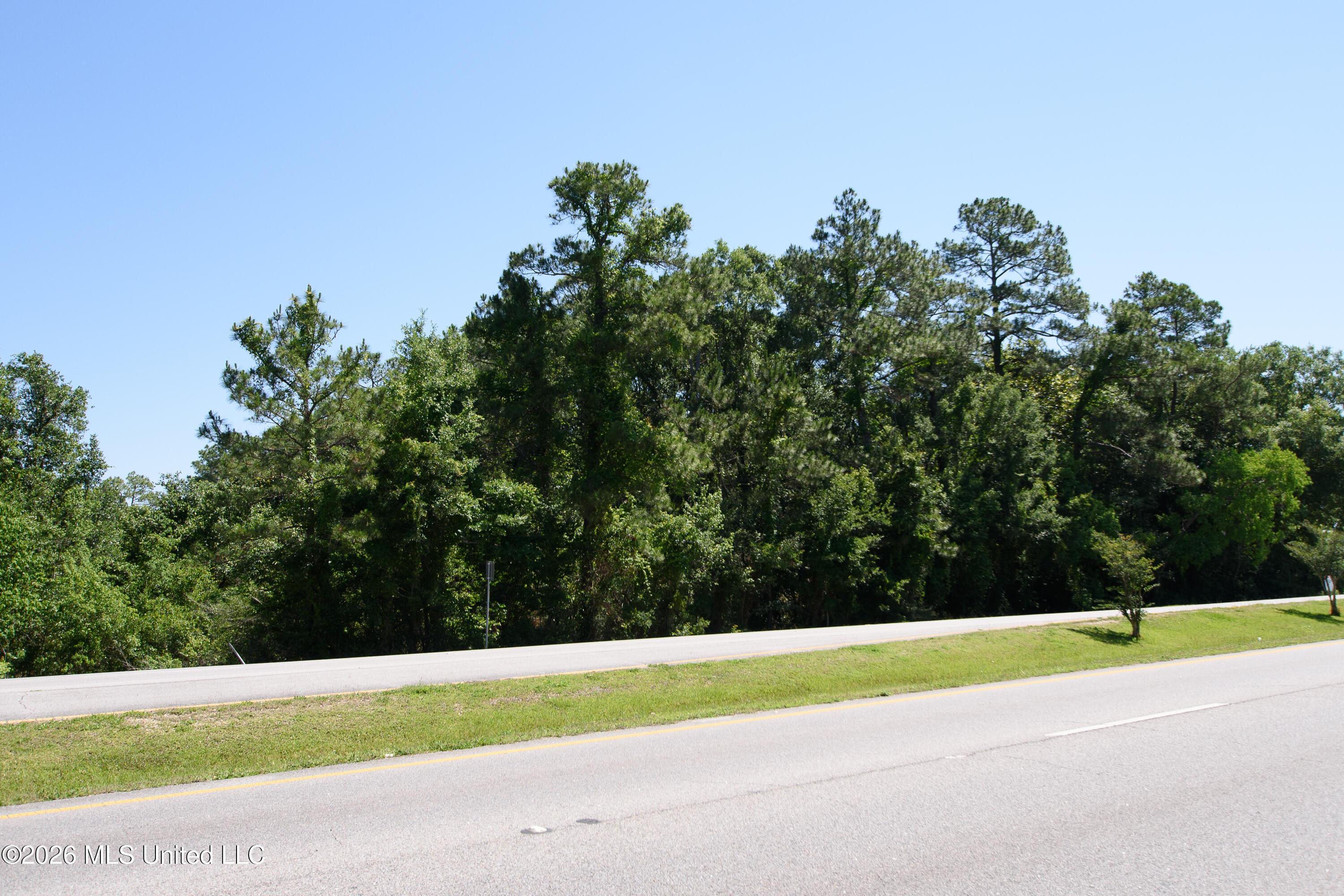 Image 3: DSC_0024