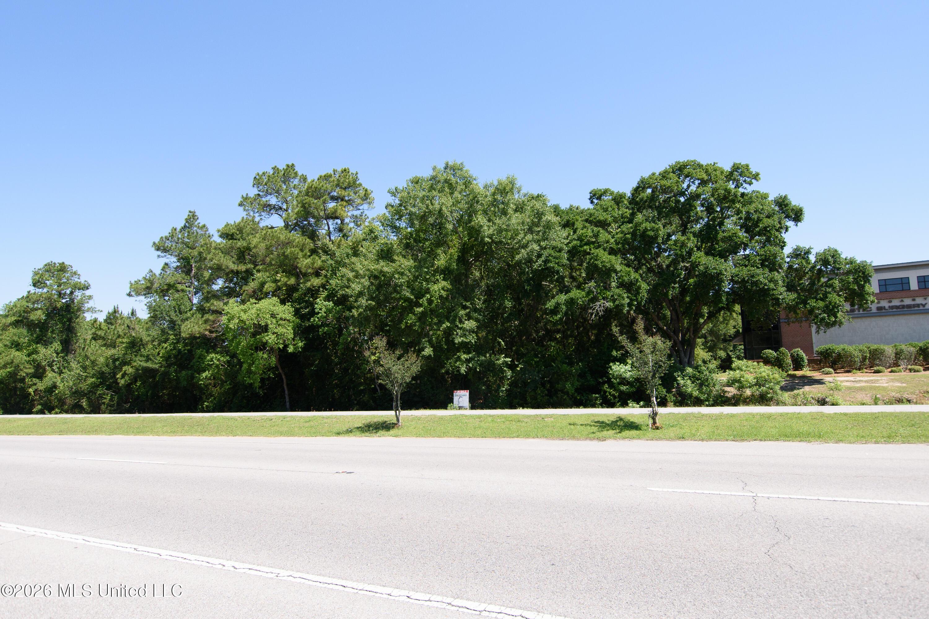 Image 4: DSC_0025