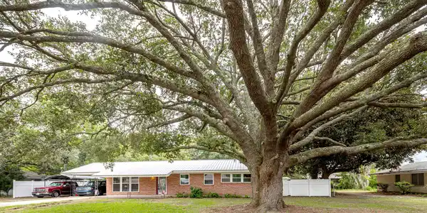 346 Hilton Avenue