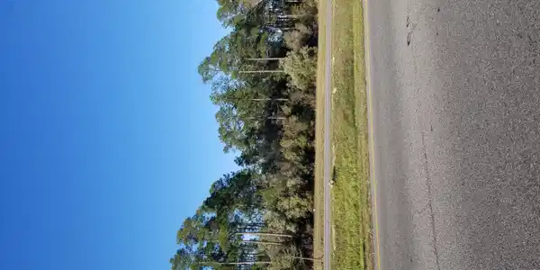 Bienville Boulevard