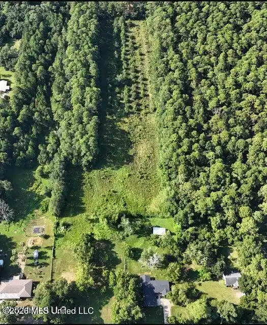 Image 1: bigridge3