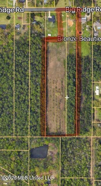 Image 3: bigridge2