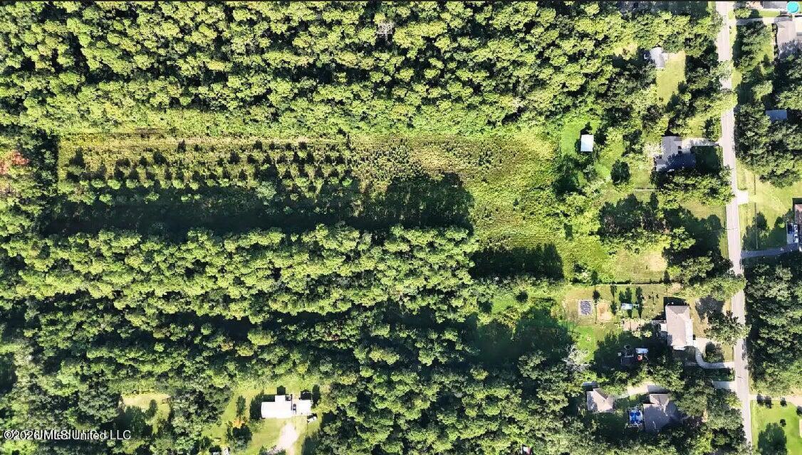 Image 4: bigridge4
