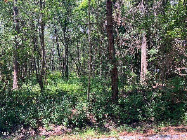 Image 1: view