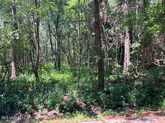 Image 1: view