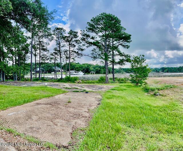 Image 4: EAST EDGE OF PROPERTY