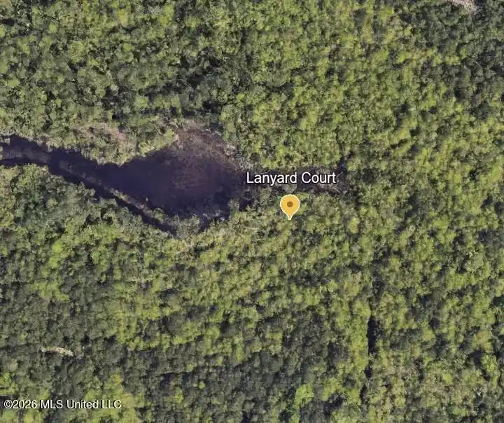 Image 1: Surrounded by woods