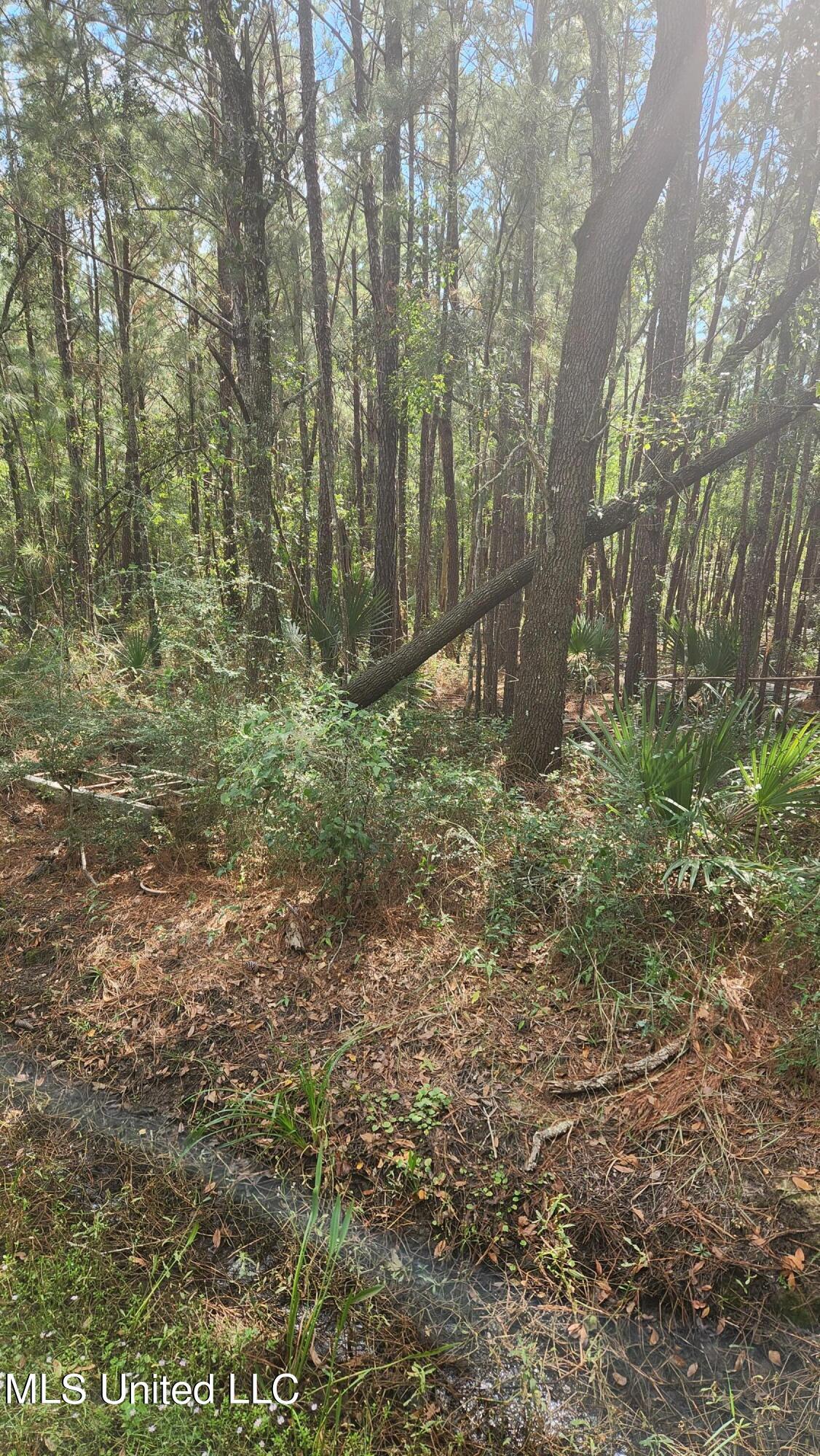 10th Avenue, Bay Saint Louis, MS lhrmls02457032