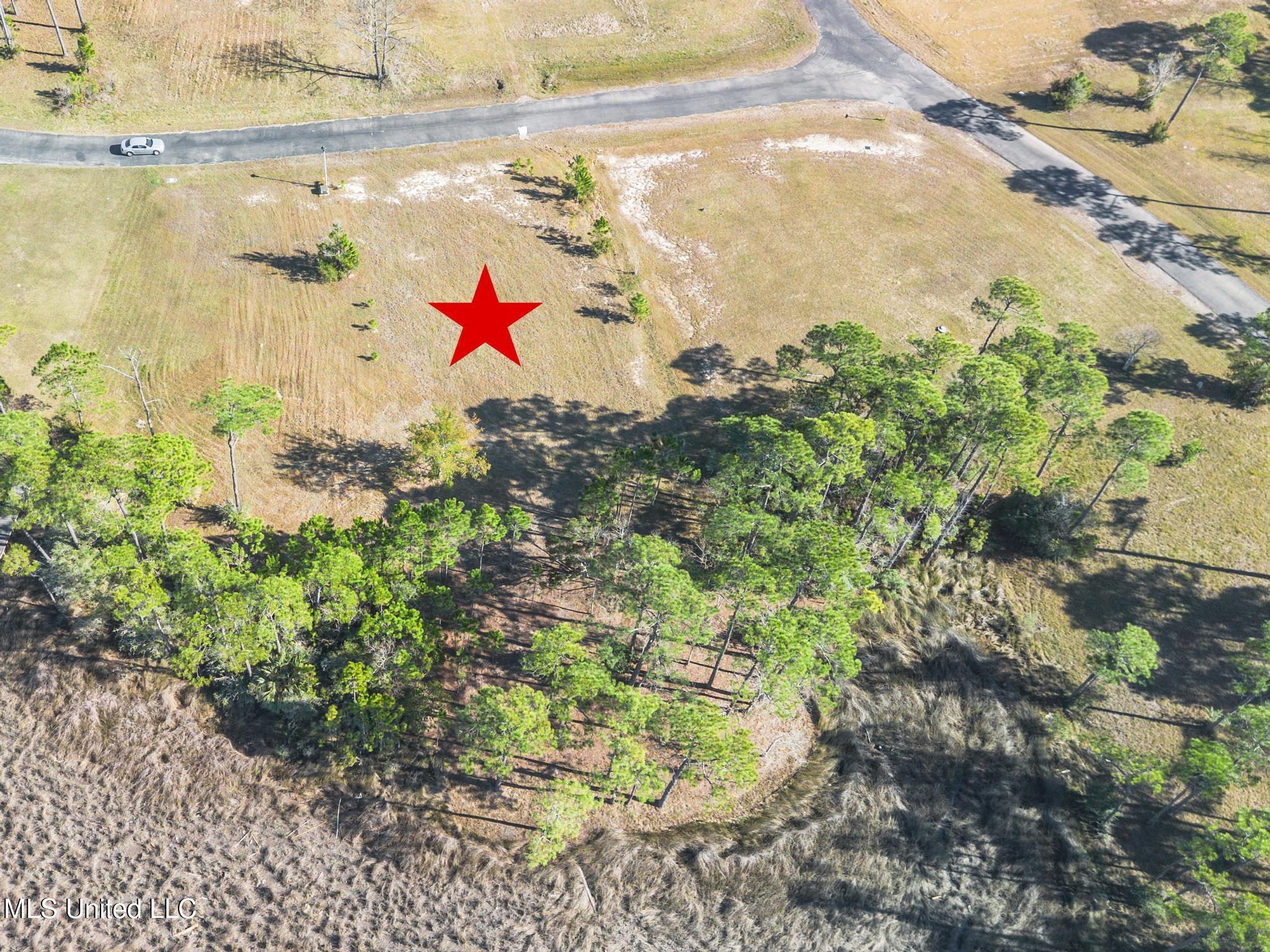 Image 4: DJI_0891