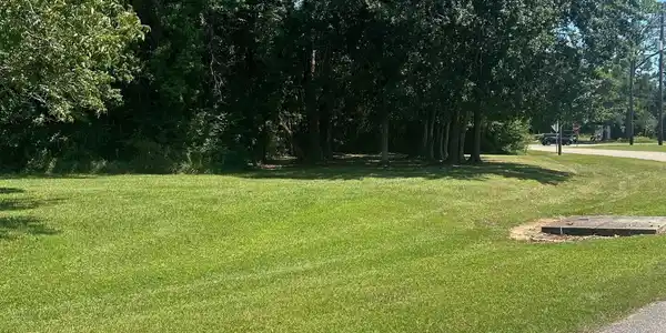 Image 2: Seymour Ave