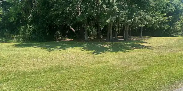 Image 3: Seymour Ave
