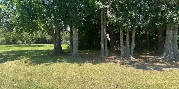 Image 4: Seymour Ave